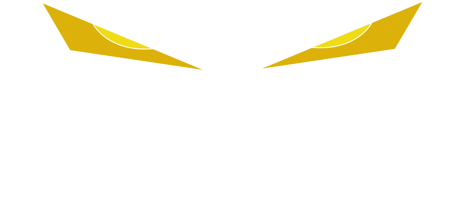 Logo Titanium blanc